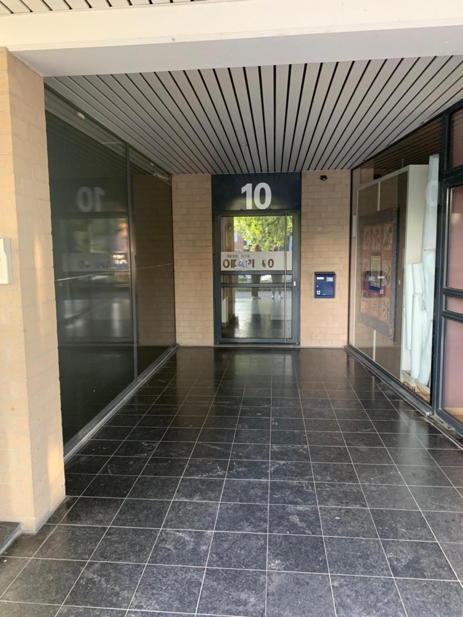 哈勒Okapi公寓 外观 照片